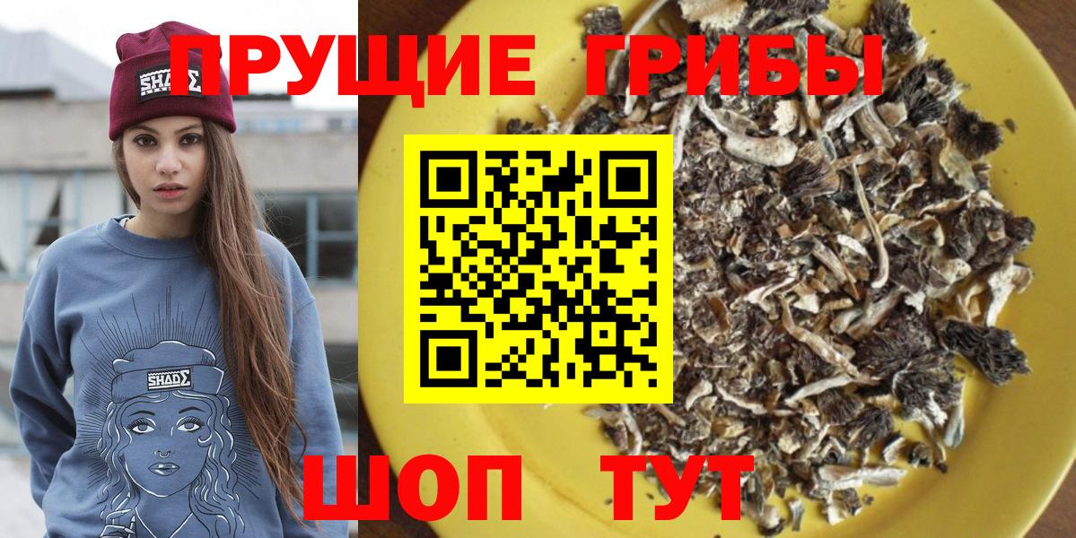 Галлюциногенные грибы мухоморы  Вход с VPN  Галлюциногенные грибы мицелий  где продают   Кимры 