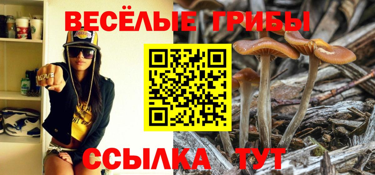 Псилоцибиновые грибы GOLDEN TEACHER Кимры